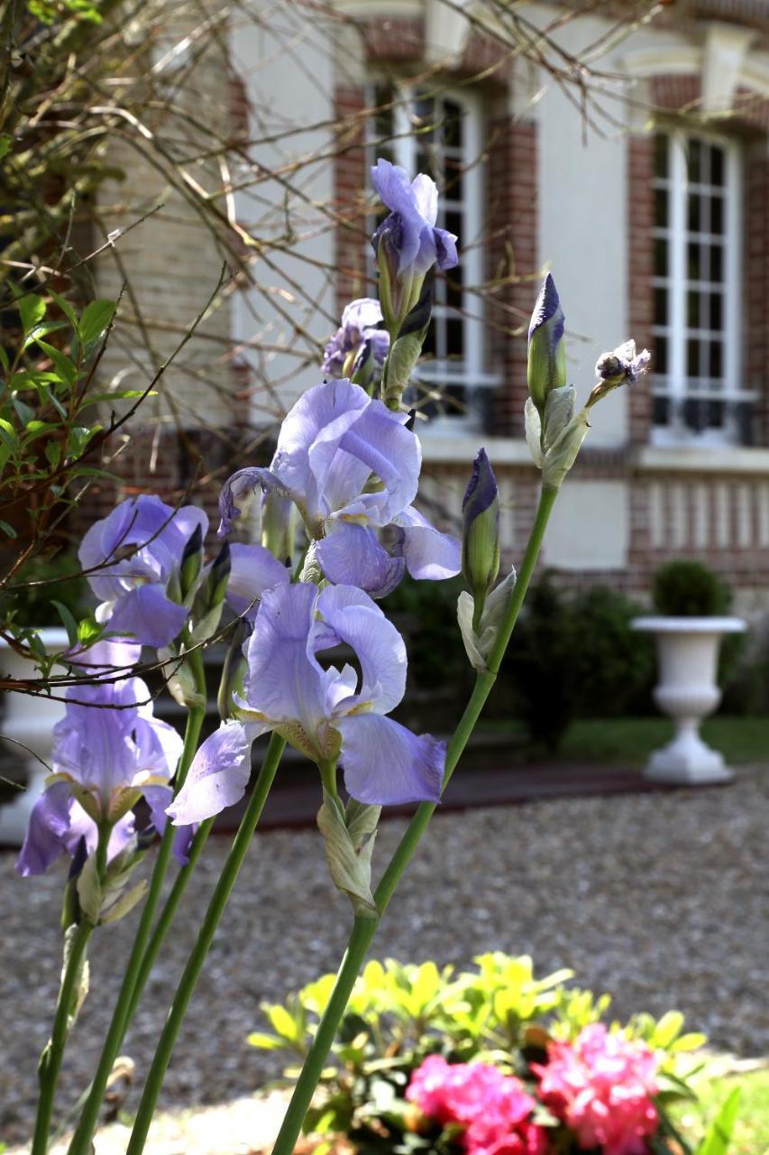 Manoir Le Mesnil Bed & Breakfast Saint-Martin-aux-Chartrains Екстериор снимка